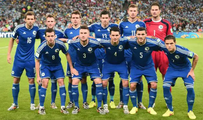 Para pendukung tim nasional sepak bola Bosnia dan Herzegovina