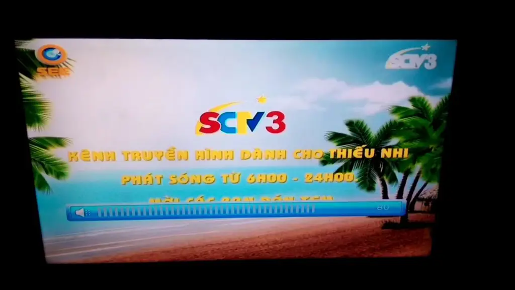 Seorang sedang menonton TV dengan jadwal SCTV di layar