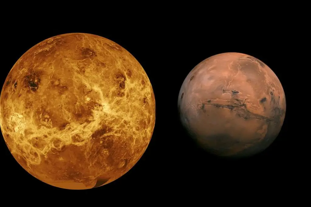 pemain mars met venus